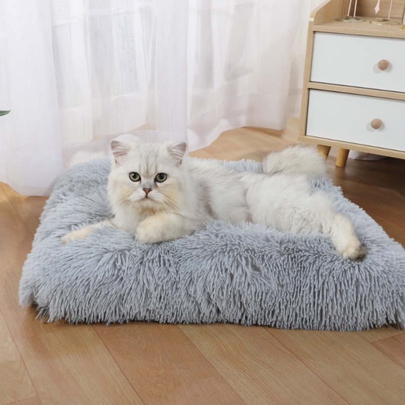 Pet Supplies Amazon - Supplies Mat Amazon New Dog Sleeping