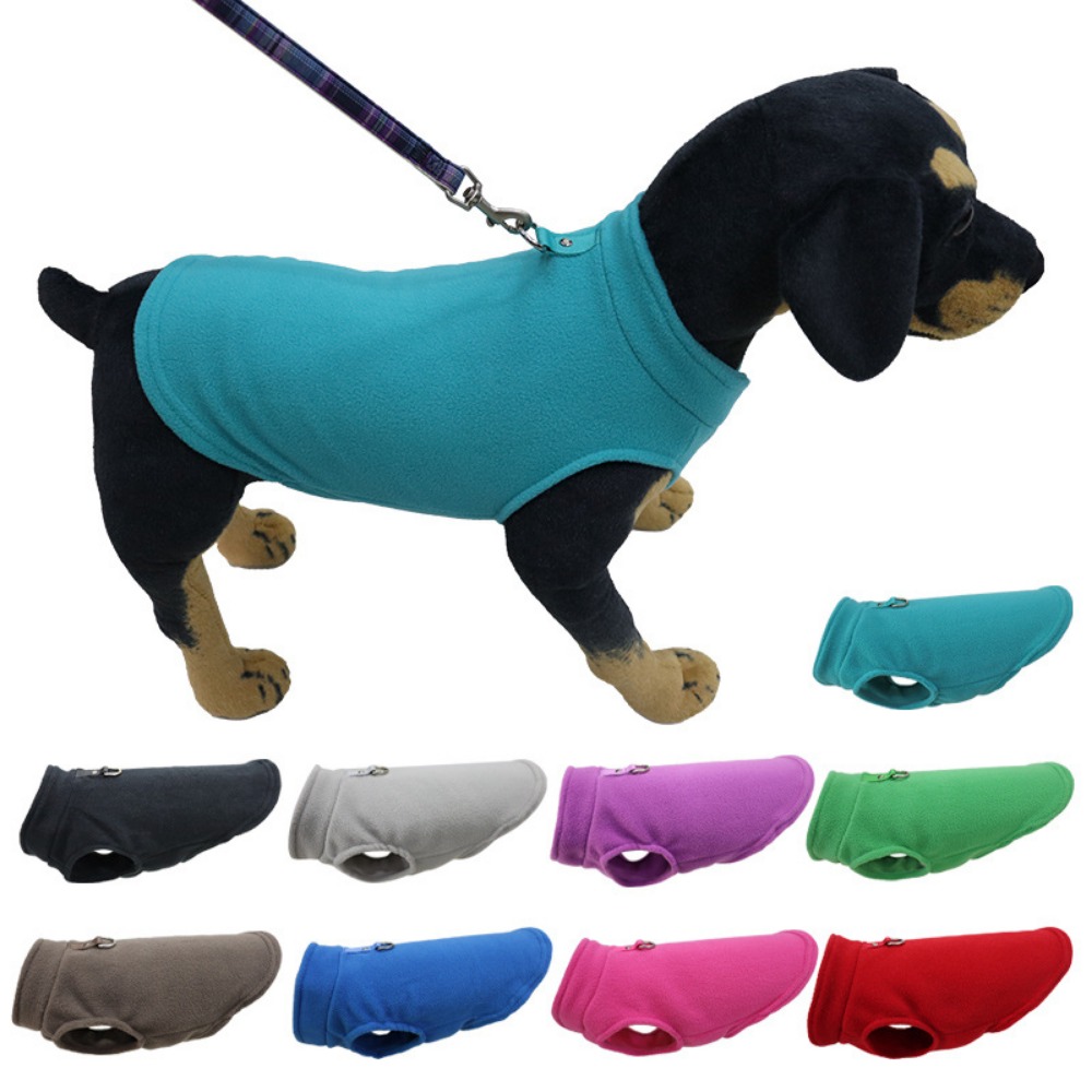 Pet Supplies Amazon - Europe, America, Amazon pet clothes, dog