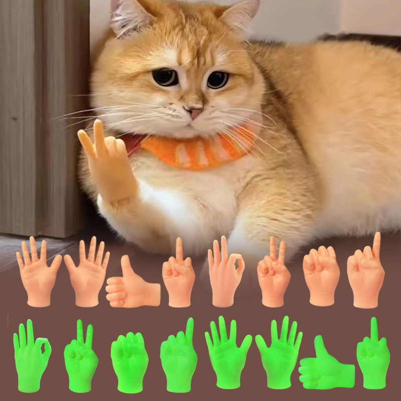 Creative Cat Interactive Funny - Interactive Cat Toy 评论和价格