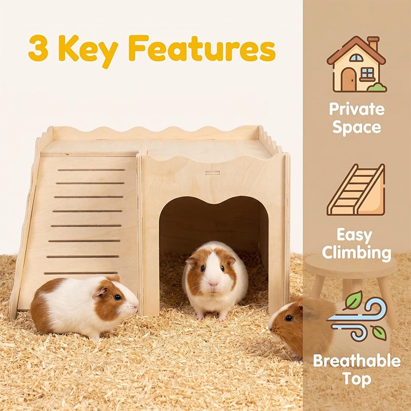 Amazon Hamster Wooden Toys Avo - Pet Supplies Amazon 评论和价格