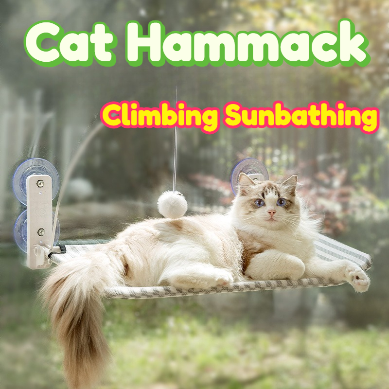 Cat Hammock Window Hanging Per - Interactive Cat Toy 评论和价格