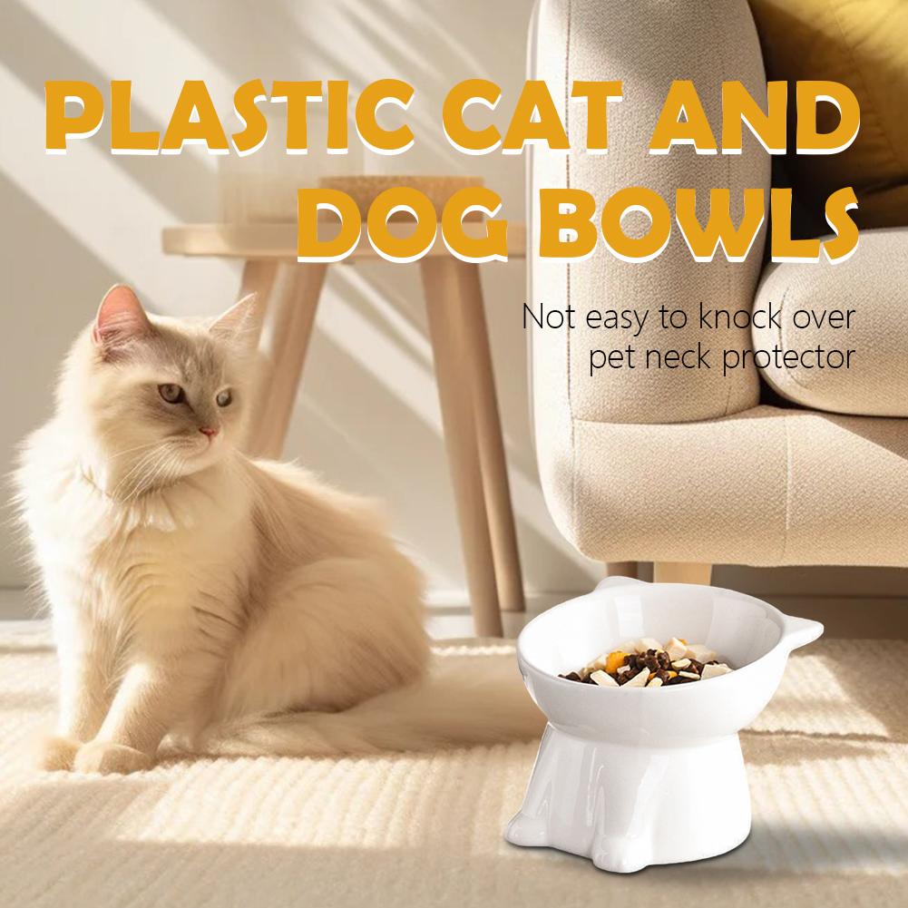 Black Cat Bowl Amazon Plastic  - Pet Supplies Amazon 评论和价格
