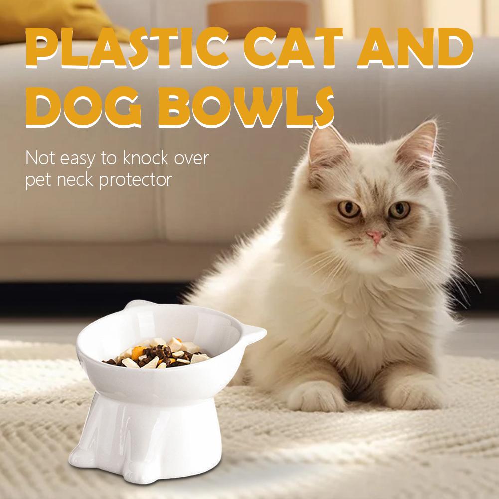 Black Cat Bowl Amazon Plastic  - Pet Supplies Amazon 评论和价格
