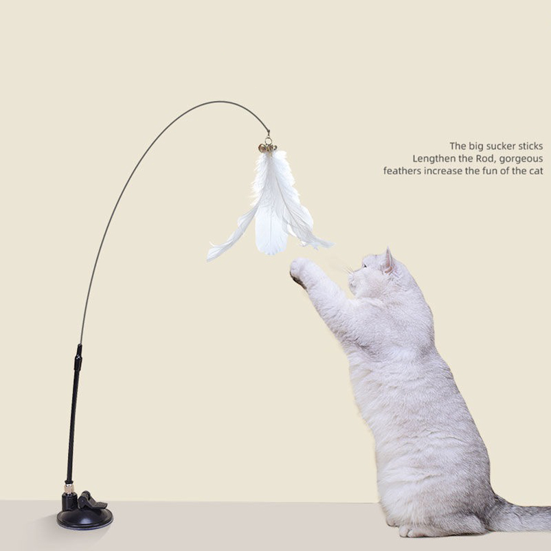 New powerful suction cat-teasi - Pet Supplies Amazon 评论和价格