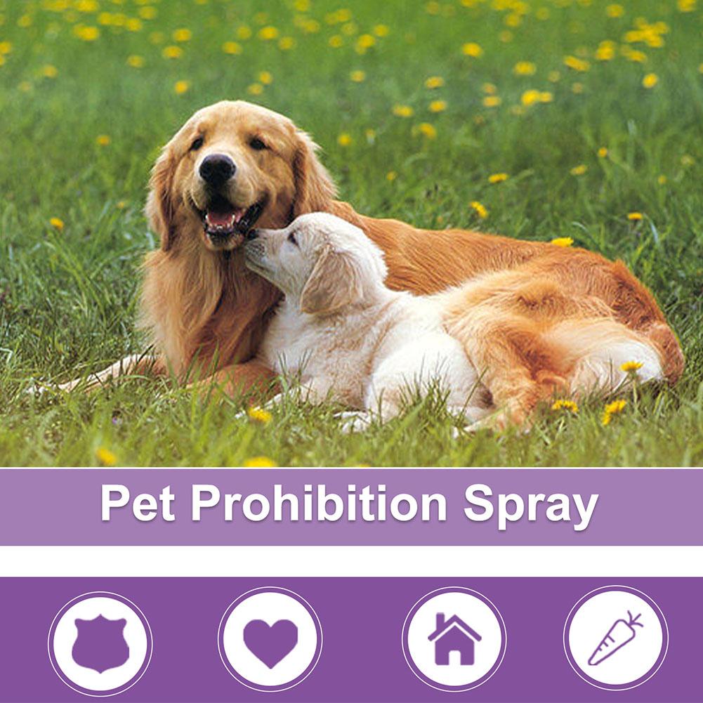 Pet Calming Spray Pet Supplies - Pet Supplies Nz 评论和价格