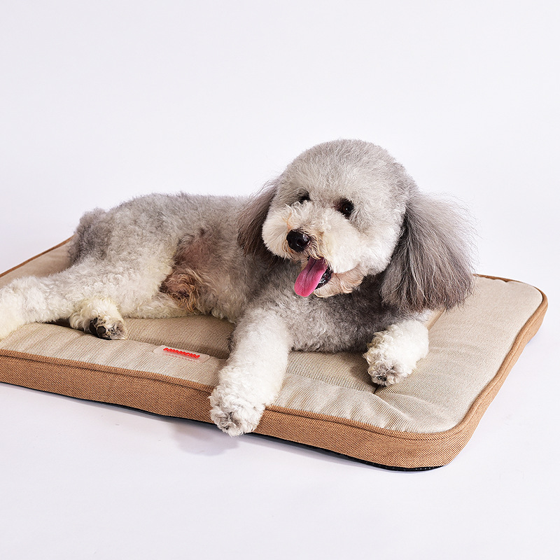 Four Seasons Pet Supplies Dog  - Pet Supplies Plus 评论和价格