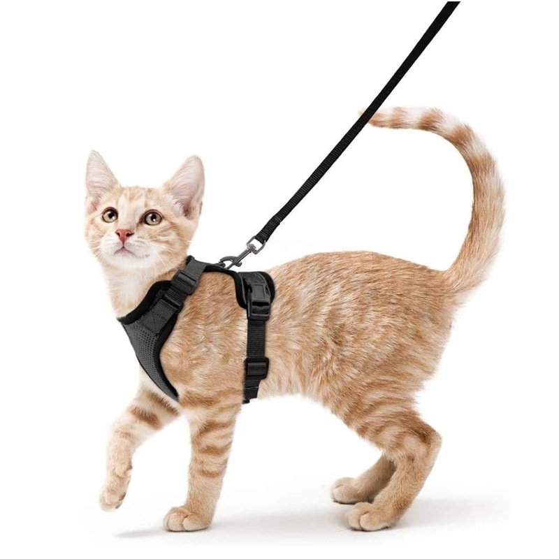 Amazon pet chest strap cat ref - Pet Supplies Amazon 评论和价格