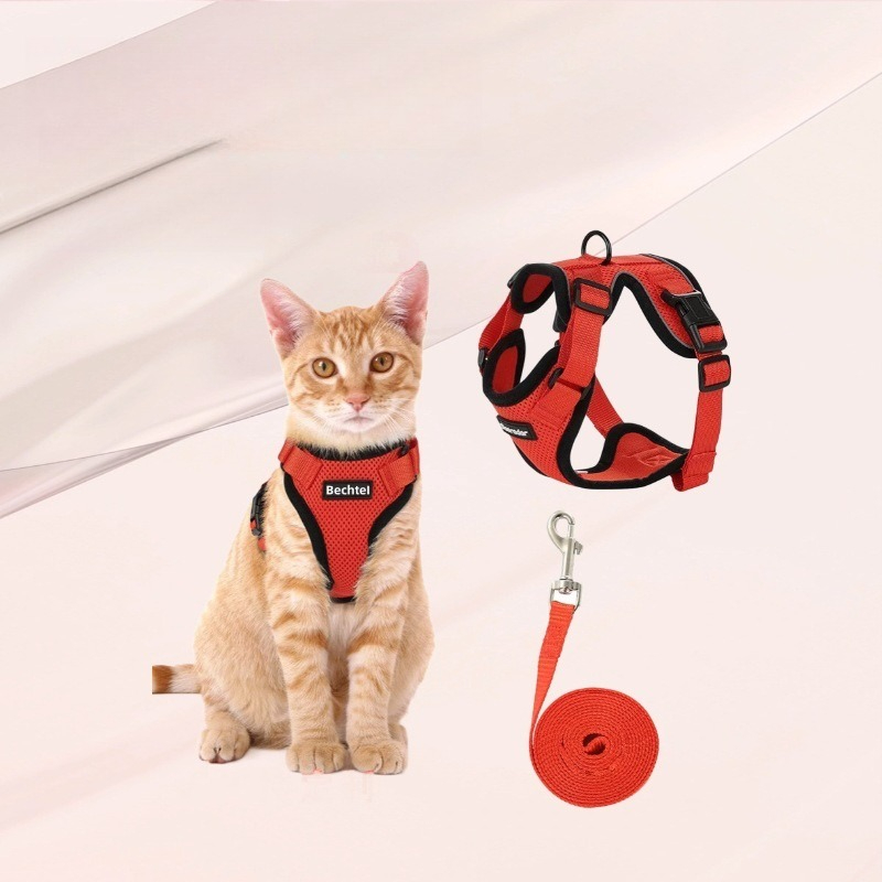 Amazon pet chest strap cat ref - Pet Supplies Amazon 评论和价格