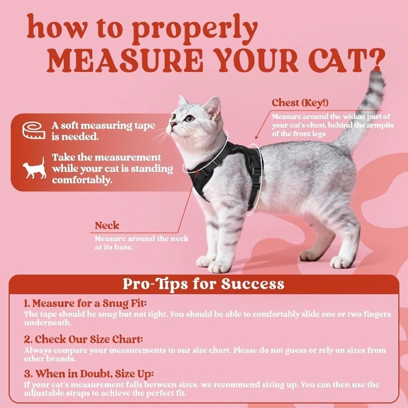 Amazon pet chest strap cat ref - Pet Supplies Amazon 评论和价格