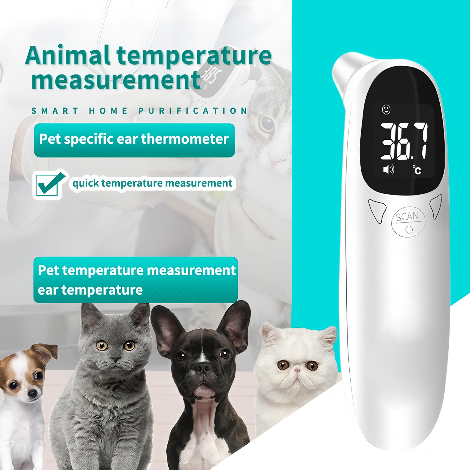 Pet Ear Digital Thermometer No - Pet Supplies Nz 评论和价格