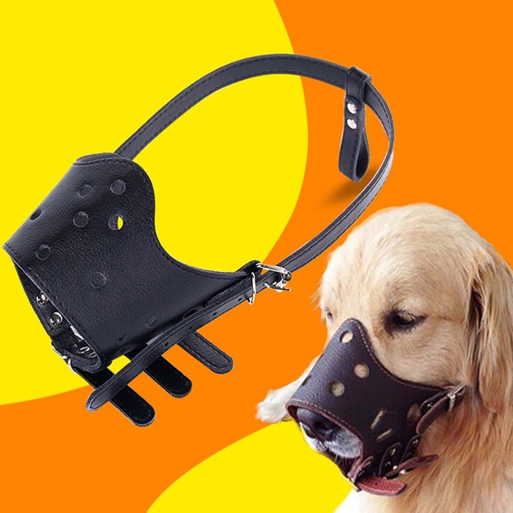 Anti-Biting Secure Anti Bark C - Pet Supplies Plus 评论和价格