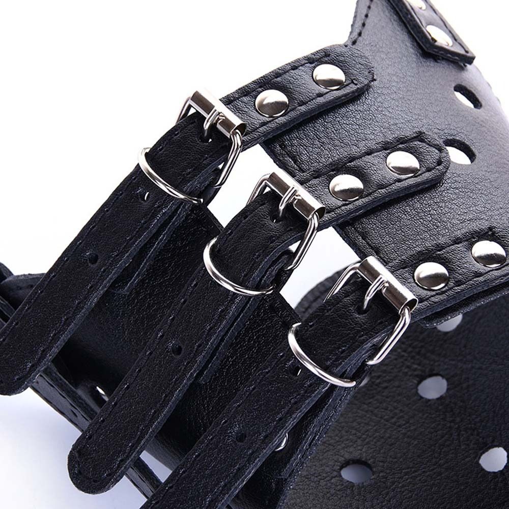 Anti-Biting Secure Anti Bark C - Pet Supplies Plus 评论和价格