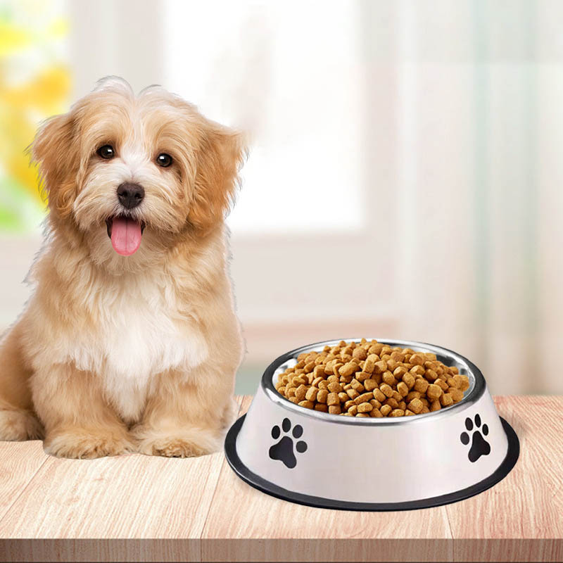 Stainless Steel Large Capacity - Pet Supplies Plus 评论和价格