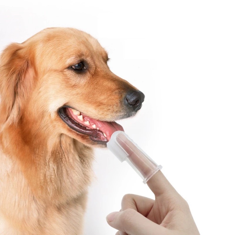 Super Soft Pet Finger Toothbru - Pet Supplies Us 评论和价格