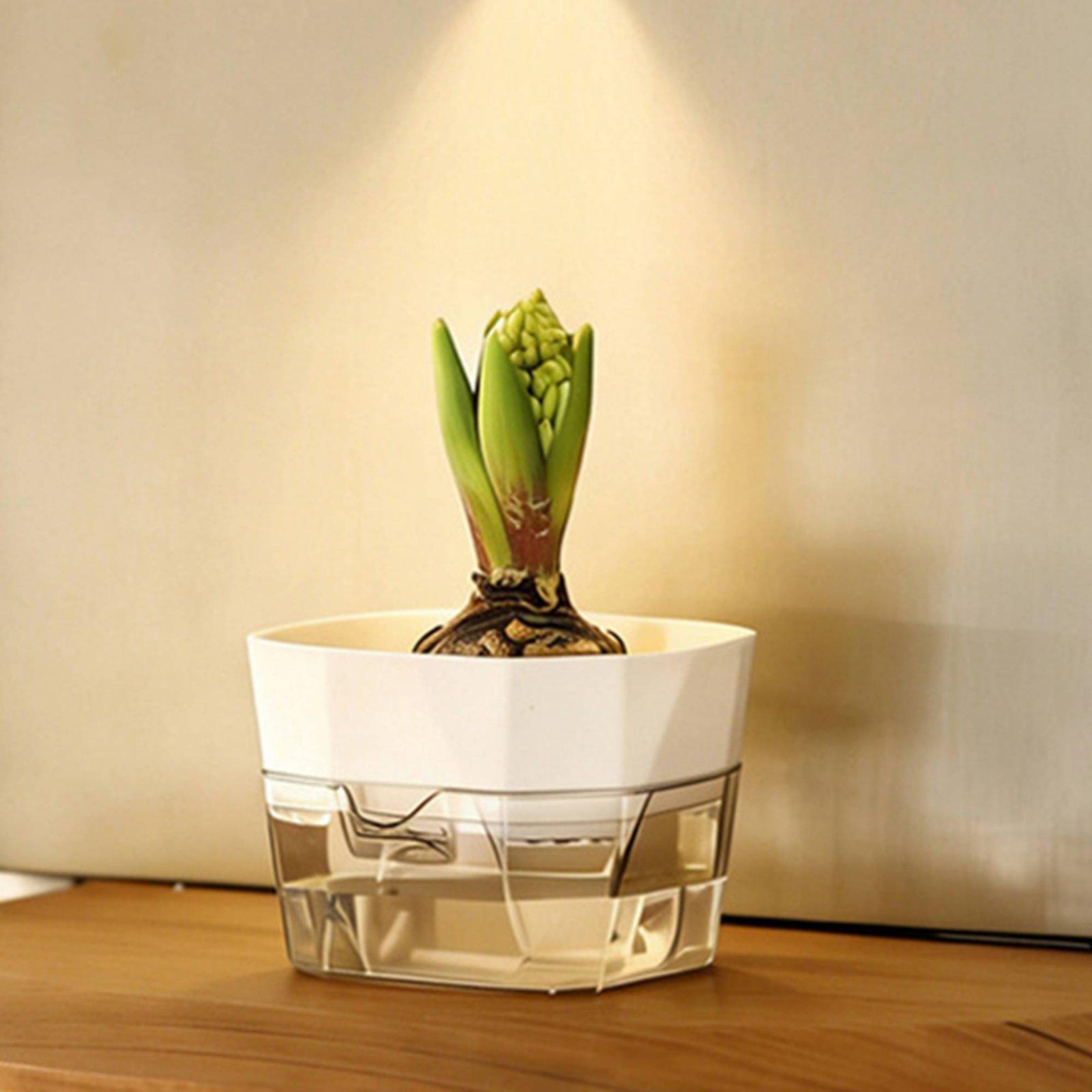 Hydroponic Vase Two Layer Self - Pet Supplies Us 评论和价格