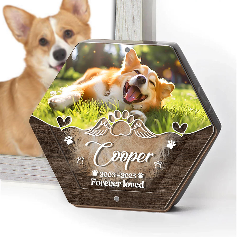 Personalized Name Wooden Carvi - Pet Supplies Nz 评论和价格