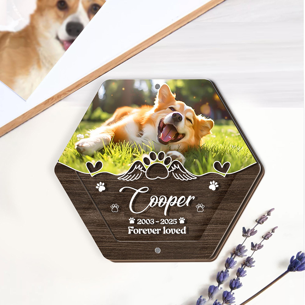 Personalized Name Wooden Carvi - Pet Supplies Nz 评论和价格