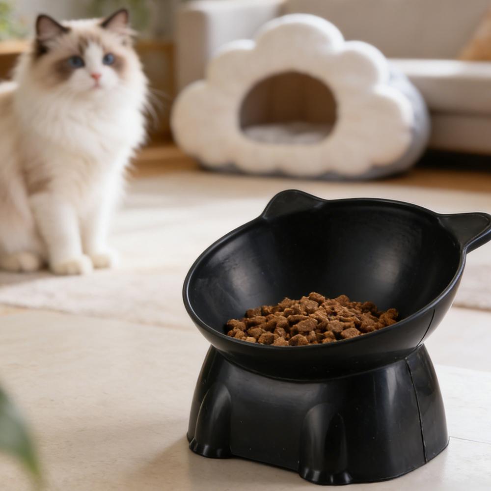 Black Cat Bowl Amazon Ceramic  - Pet Supplies Amazon 评论和价格
