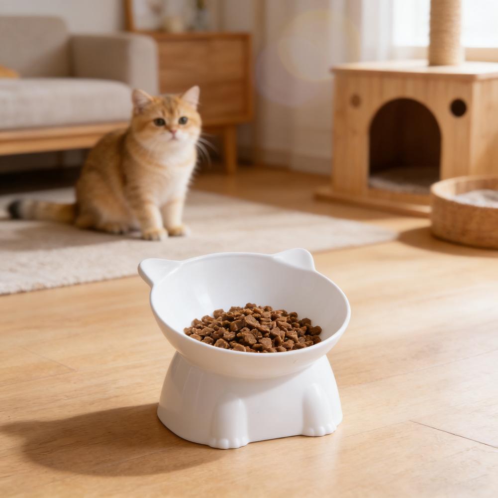 Black Cat Bowl Amazon Ceramic  - Pet Supplies Amazon 评论和价格