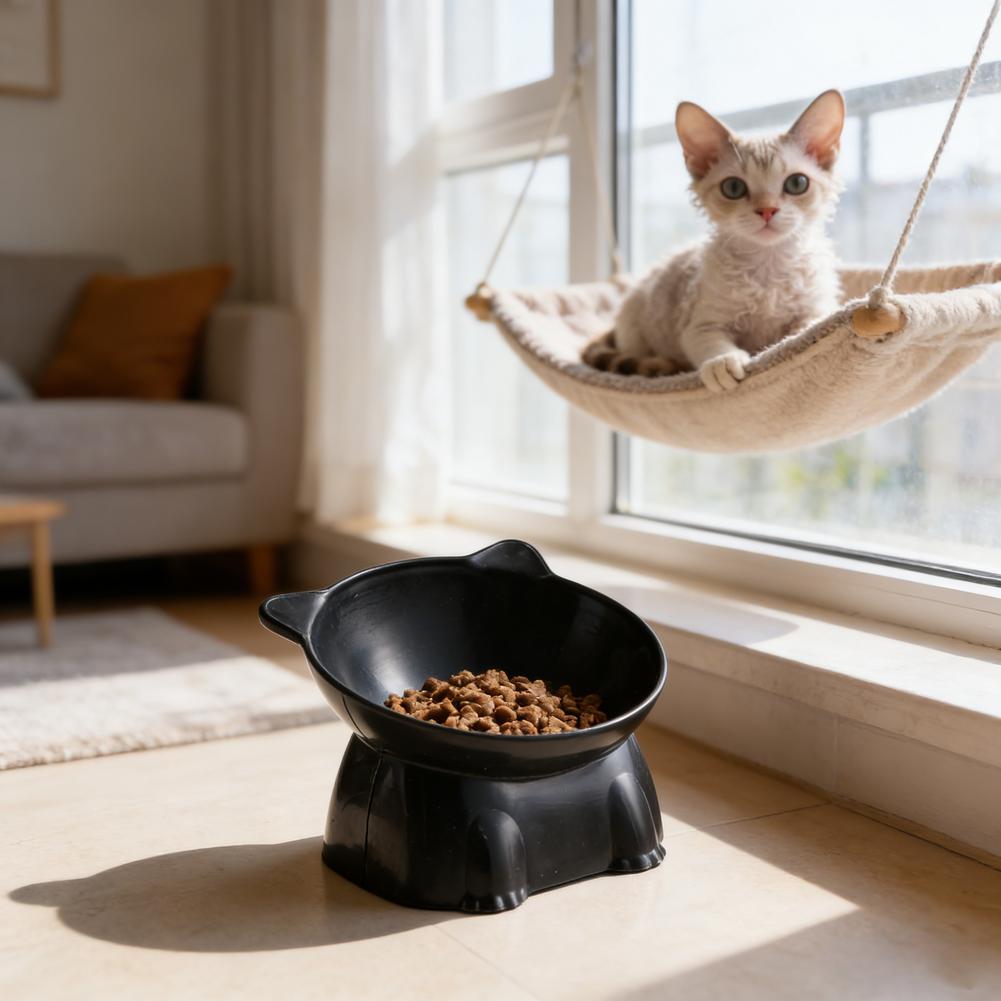 Black Cat Bowl Amazon Ceramic  - Pet Supplies Amazon 评论和价格