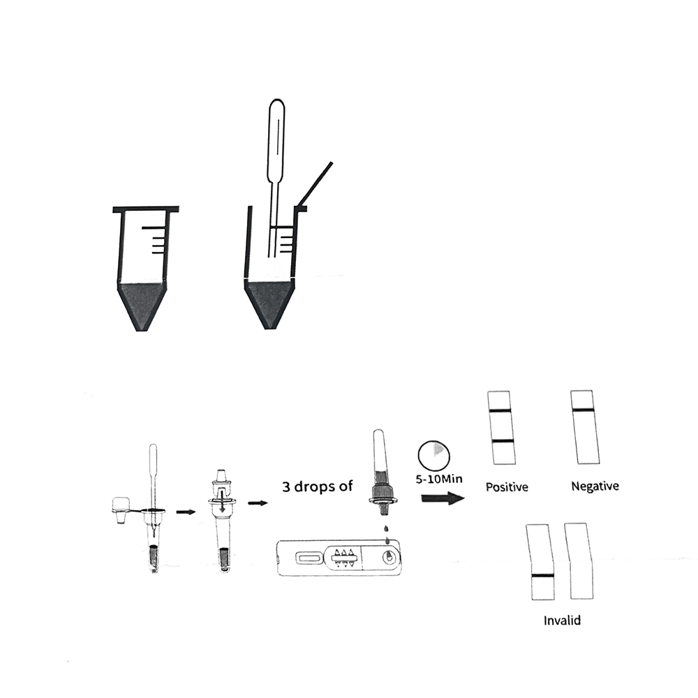 1set/5set Professional Pet Dog - Pet Supplies Nz 评论和价格