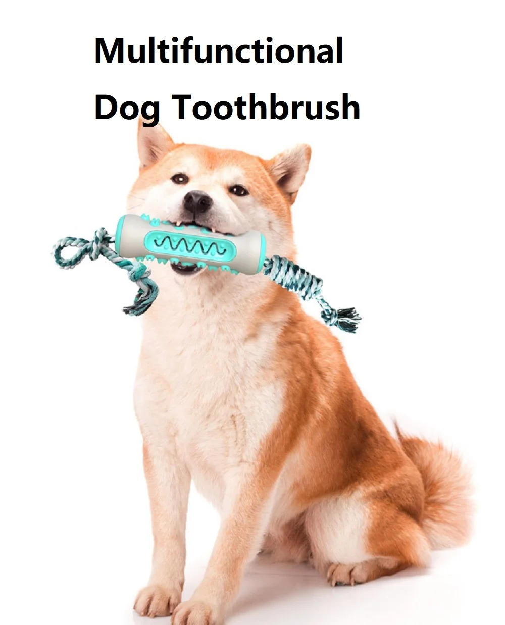 Pet Supplies Amazon Pop Dog To - Pet Supplies Amazon 评论和价格