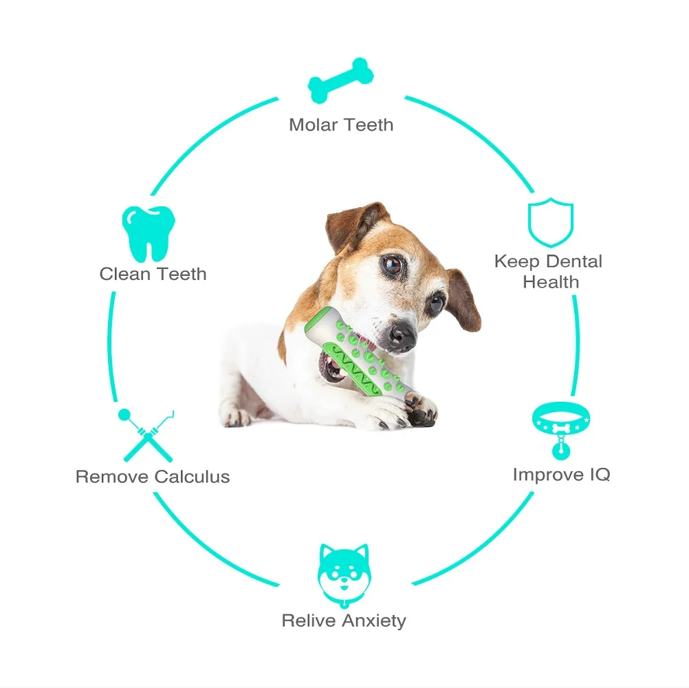 Pet Supplies Amazon Pop Dog To - Pet Supplies Amazon 评论和价格