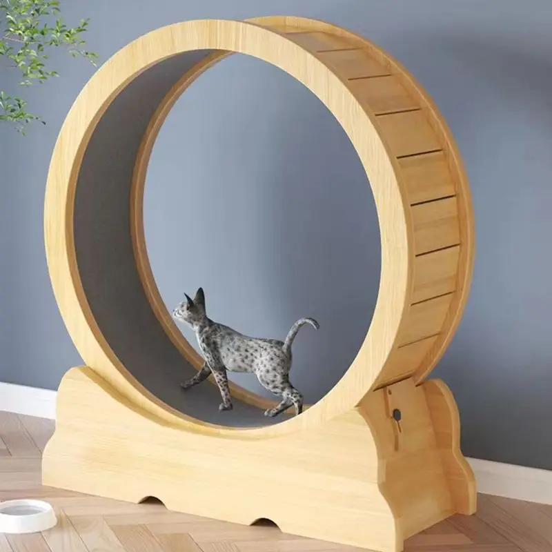 Cat fitness wheel indoor toy c - Interactive Cat Toy 评论和价格