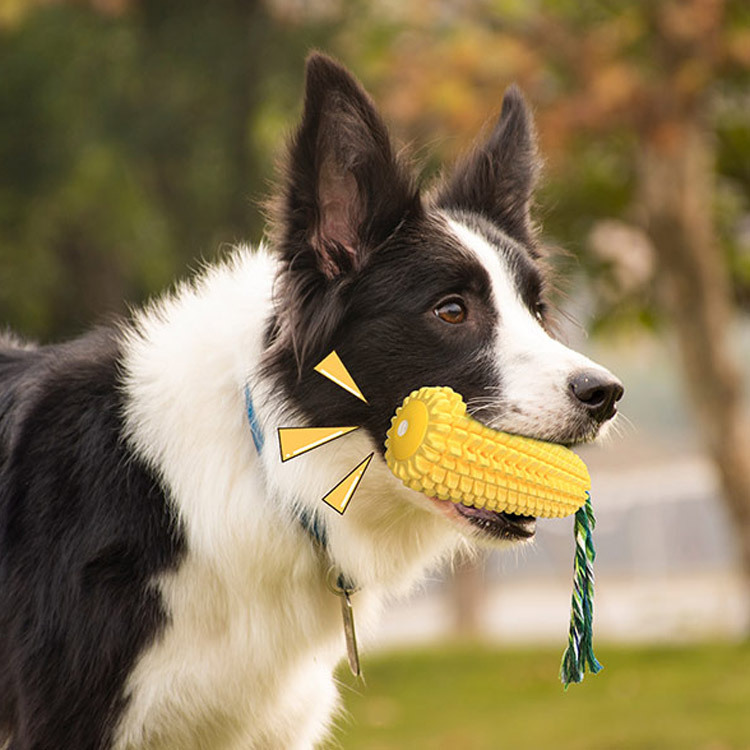 Squeaky Corn Dog Toothbrush Pe - Pet Supplies Amazon 评论和价格