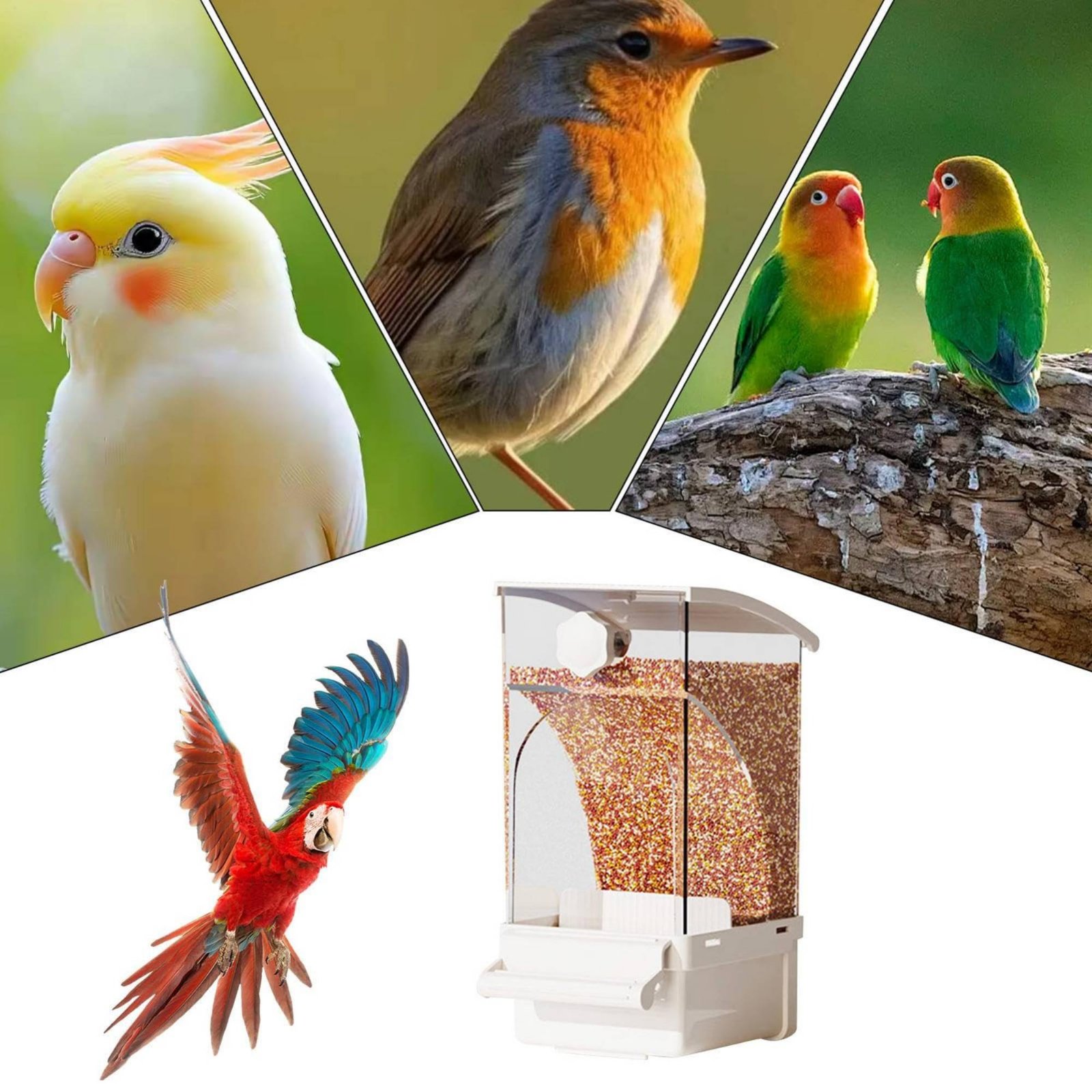 Automatic Avian Feeder Husk Se - Pet Supplies Us 评论和价格
