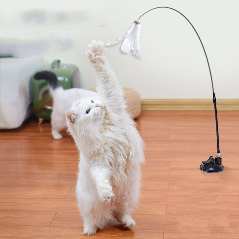 New powerful suction cat-teasi - Pet Supplies Amazon 评论和价格
