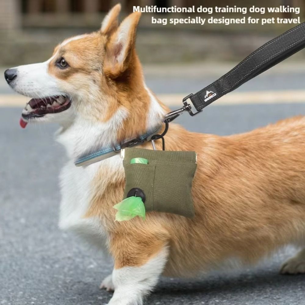 Portable Design Pet Training W - Pet Supplies Plus 评论和价格