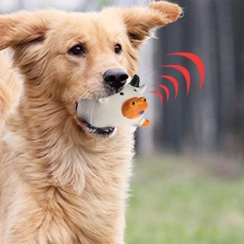 Pet Supplies Amazon Bestseller - Pet Supplies Amazon 评论和价格