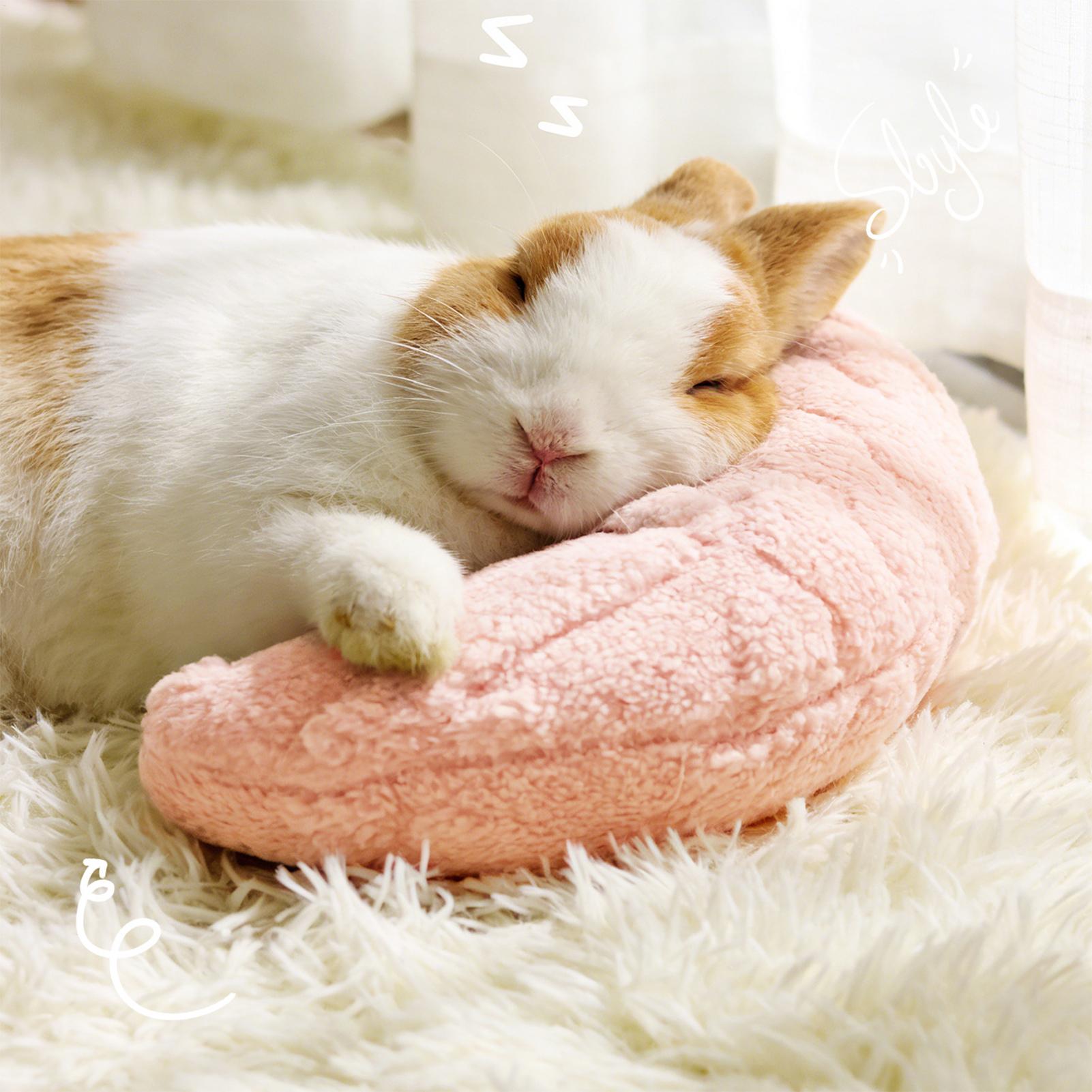 Pet Little Pillow Fashion Neck - Pet Supplies Nz 评论和价格